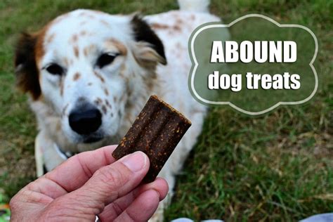 Review: ABOUND Dog Treats