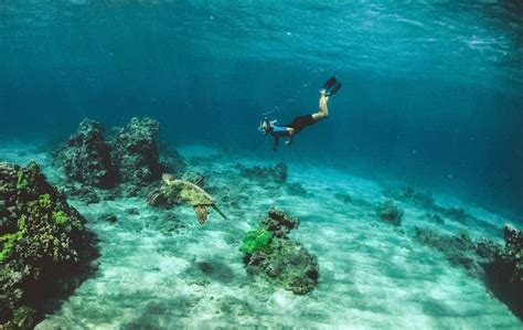 The Best Snorkeling Spots In Khao Lak – DesertDivers