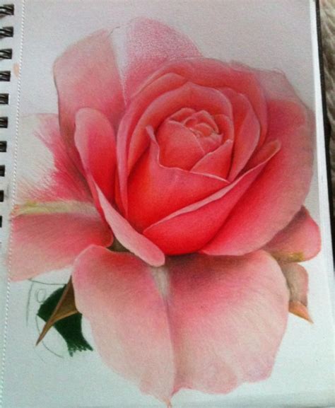 +22 Ejemplos de dibujos de flores que te inspirarán - Arte Feed