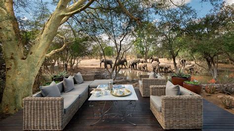 Luxury safari in the Kruger National Park | Packages & Itineraries | Discover Africa Safaris