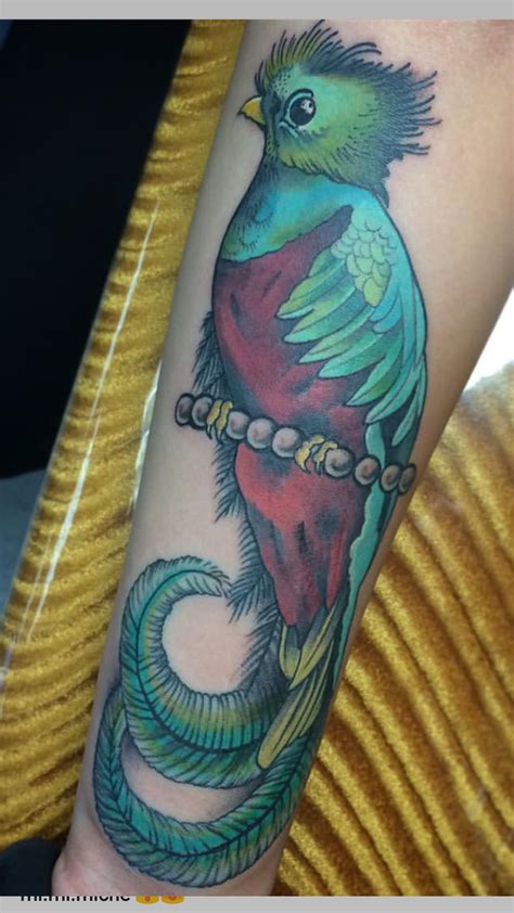 Guatemalan quetzal bird. Gf got her first tattoo looking for a critique. Good? Bad? Whats done ...