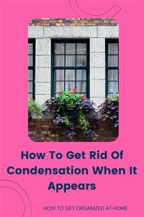 Can You Get Mold From Condensation On Windows?