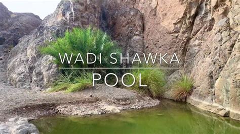 HIDDEN PLACES IN UAE , WADI SHAWKA POOL | ROUGH ROADS - YouTube