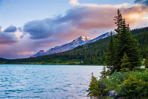 Sunrise at Bow Lake in Banff National Park, Alberta Stock Image - Image ...