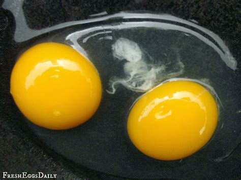 What Causes a Double Yolk Chicken Egg? | Fresh Eggs Daily®