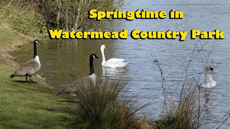 Springtime in Watermead Country Park - YouTube