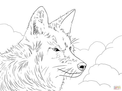 Coyote Howling Drawing at GetDrawings | Free download