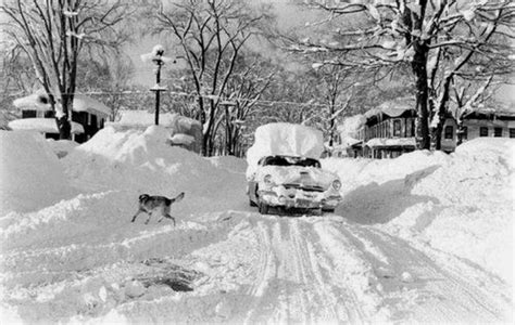 Scene from a snow storm in Oswego, New York, that dropped over 6 feet of snow, '58. | Time life ...