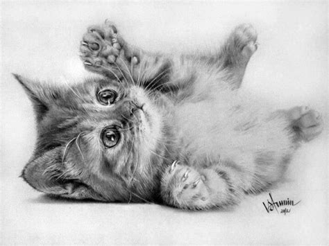 Baby Cat Images For Drawing / Cat Drawing At Getdrawings Free Download ...