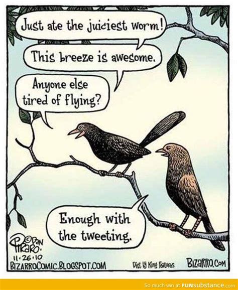 Bird tweeting - FunSubstance | Very funny pictures, Funny pictures, Social media humor