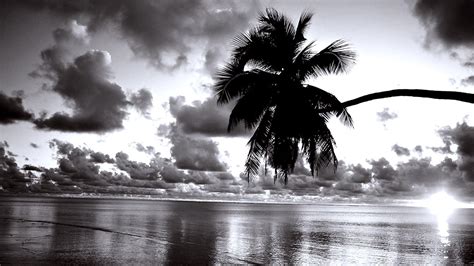 Black and White Beach Wallpapers - Top Free Black and White Beach ...