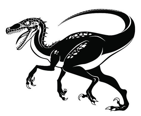 Velociraptor Illustrations, Royalty-Free Vector Graphics & Clip Art - iStock