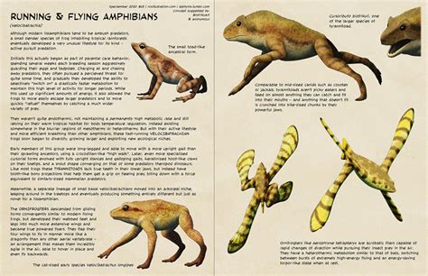 Running and flying amphibians | Speculative Evolution Wiki | Fandom