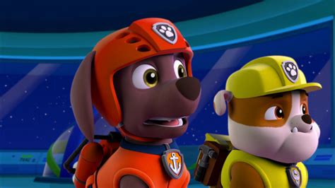 Paw Patrol - S2E202 - Pups Save A Flying Frog/Pups Save The Space Alien | Knowledge Kids