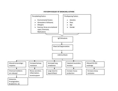 Bronchial Asthma Concept Map