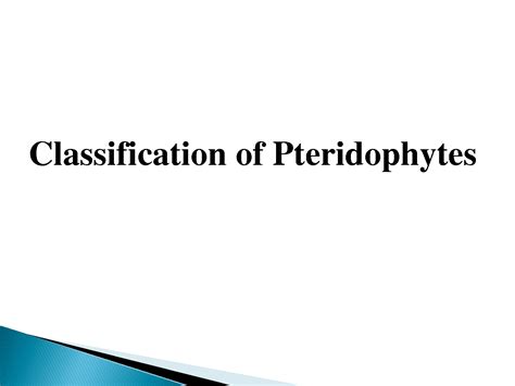 SOLUTION: Classification of pteridophytes - Studypool