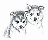 Two Brothers Free Printable Coloring Pages  Cool sketch template