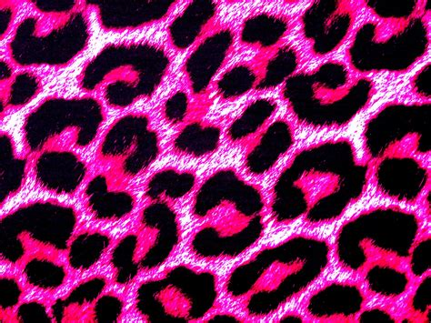 Pink Leopard Skin Background Free Stock Photo - Public Domain Pictures