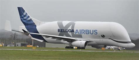 Airbus Beluga XL - Price, Specs, Photo Gallery, History - Aero Corner