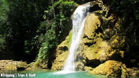 9 Best Things to Do in Samana, Dominican Republic