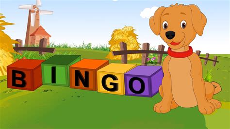 BINGO Song | English Nursery Rhymes & Songs For Babies | Best Buddies