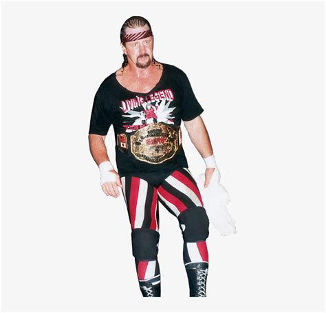 Ecw Champion Terry Funk - Terry Funk Us Champion - Free Transparent PNG Download - PNGkey