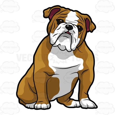 English Bulldog Sitting With Its Head Tilted To The Right 1 | Bulldog ...