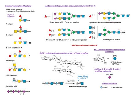 Symbol Nomenclature for Glycans (SNFG) - NCBI