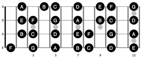 How To Find Any Note On The Bass Guitar - Easy method!