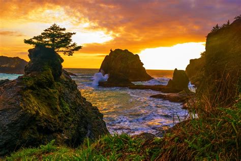 The Little Things; Brookings, Oregon [oc] [6000x4000] : seascapes