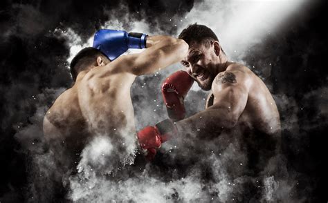 15 Knockout Boxing Facts: Experience the Thrills and Skills - Facts.net