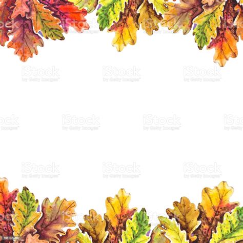 Oak Leaf Border Stock Illustration - Download Image Now - Autumn ...