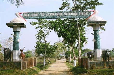 Kaziranga National Park: Kaziranga national park Jungle Safari