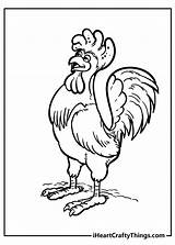 Chicken Coloring Page sketch template