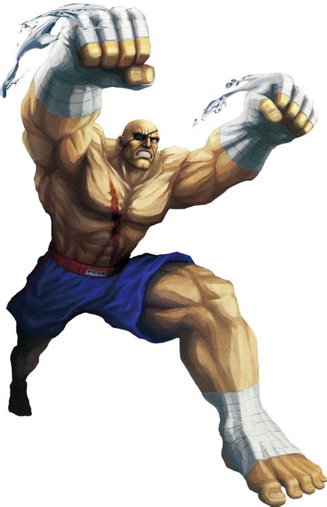 Sagat (Street Fighter) - Alchetron, The Free Social Encyclopedia