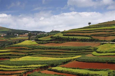 A Look at Terrace Farming Around the World