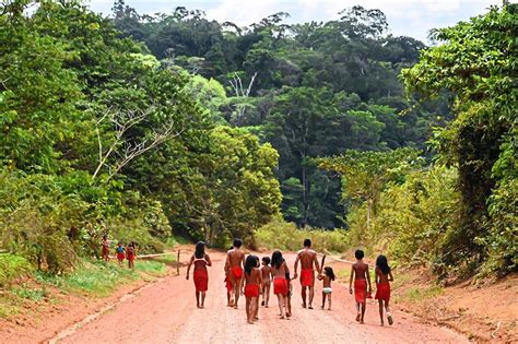 Waiapi tribe of the Amazon forced to defend their homes from miners