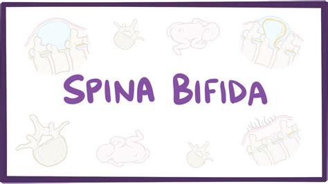 Spina bifida (myelomeningocele, meningocele, occulta) - causes ...