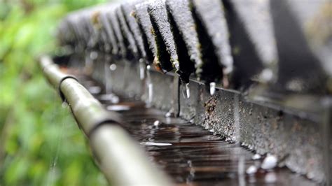 How to spot water drainage problems within your home - Moreno & Moreno