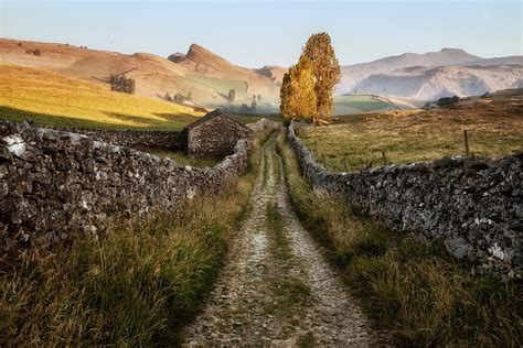 Roads to Roam — Lars van de Goor