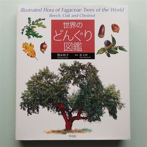 Book Review: Illustrated Flora of Fagaceae Trees of the World ...