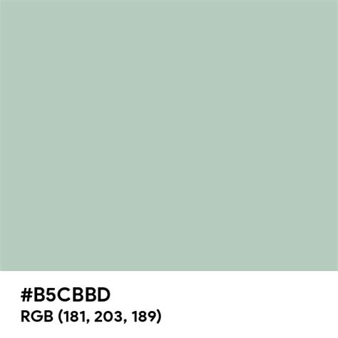 Matte Jade Green color hex code is #B5CBBD