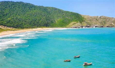 Florianopolis: Things To Do in Beach Lover Paradise + Otters! - Nick and Michelle