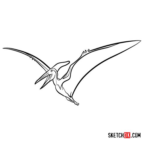 How to draw a Pteranodon | Extinct Animals - Sketchok easy drawing guides