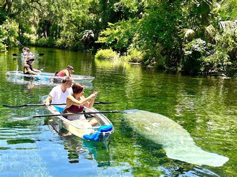 Silver Springs Kayaking Tours & Rentals, Clear Kayaking