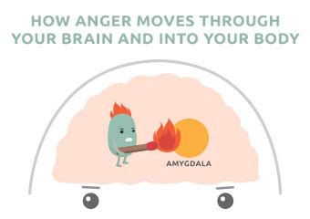 How Anger Affects Your Brain and Body [Infographic - Part 1] - NICABM