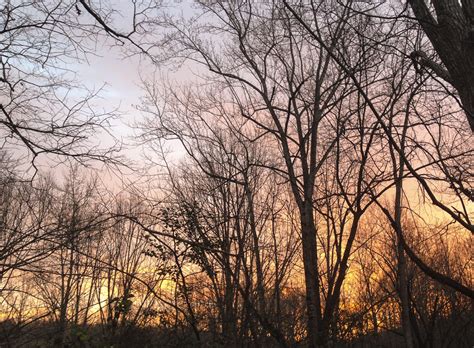 Red Sky in Morning | Roads End Naturalist