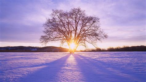 Winter Sunshine Wallpapers on WallpaperDog