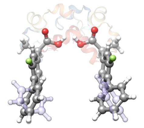 The Role of the Transient Atropisomerism and Chirality of Flurbiprofen ...