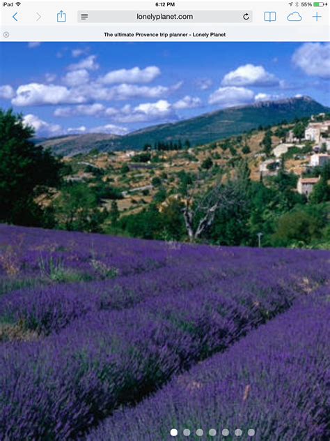 Aix en Provence lavender Fields.... Provence Lavender, Aix En Provence ...